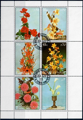 Шарджа Цветы 1972